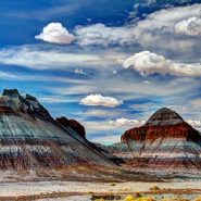 Petrified Forest National Park: 10 tips for your visit