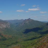 Long process of revising plans for NC national forests nears crucial point