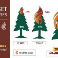 Save our national forests with a simple fire funding fix