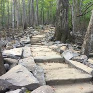Rainbow Falls Trail Project Continues on Mt. LeConte