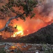 Megafires, Wildland Fires, and Prescribed Burns
