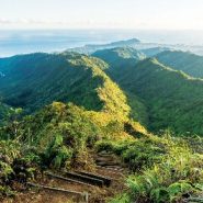Hiking to the scenic summit of Oahu’s Wiliwilinui Ridge Trail