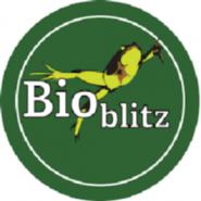 Cradle of Forestry Invites All Ages to Pink Beds BioBlitz