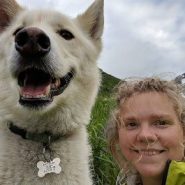 Husky saves deaf hiker, and dozens of others, on Alaskan trail