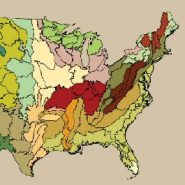 The State of the Nation’s Forests