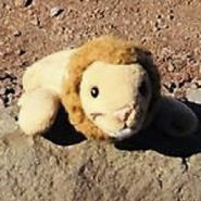 Oregon woman reunites girl with toy lion lost on remote hike