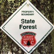 North Carolina’s New Headwaters State Forest to open Sept. 6, 2018