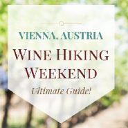 Wine Hiking and Vineyard Hopping In Vienna