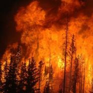 Glacier National Park is on fire — and yes, warming is making things worse