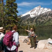 Jenny Lake, the breathtaking centerpiece of Grand Teton National Park, gets a refresh