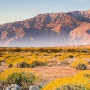 Ultimate guide to hiking Coachella’s hidden canyons