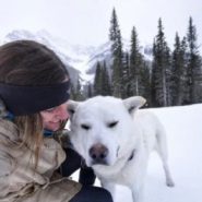 Alberta photographer takes shelter dogs on hikes to help them find forever homes