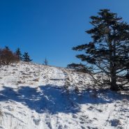 Winter hiking offers a new perspective