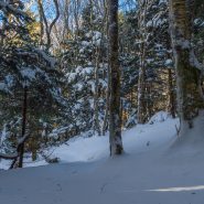 Some Basic Elements of Winter Hiking