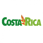 The Ultimate Adventure Guide to Costa Rica