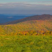 Strong leaf season predicted for WNC