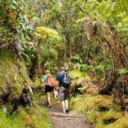 Hiking trail reopens, a year and a half after Kilauea’s eruptions and 60,000 quakes