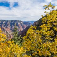 A Complete Guide to Grand Canyon Hiking: The Best Tours, Trails, and Tips