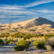 Pick Mojave National Preserve over Joshua Tree: Twice the size, a quarter the visitors, all the beauty