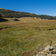 New Mexico’s Valles Caldera preserve acquires site with volcanic features