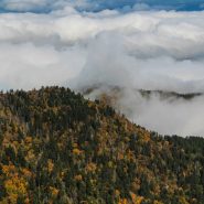 The Great Smoky Mountains’ iconic clouds are helping to protect the region from climate change – for now