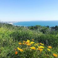 Hikes in Los Angeles: 9 trails with spectacular endings