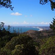 Backpacking for Beginners: Sky Campground in Point Reyes National Seashore