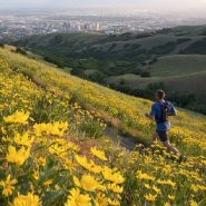 Bonneville Shoreline Trail runs into dispute between trail advocates and environmentalists