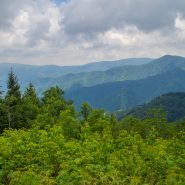 Smokies air quality ‘noticeably clean’ during pandemic