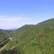 SAHC adds 448-acre Chestnut Mountain property in Haywood County