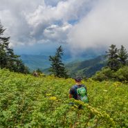 The 8 Most Endangered National Parks