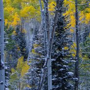 America’s Best and Most Beautiful Winter Hikes