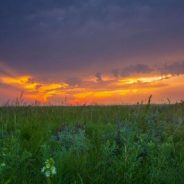 Tallgrass prairie region provides a Minnesota hiking alternative