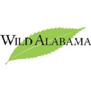 Alabama’s leading National Forests advocates announce rebirth of Wild Alabama