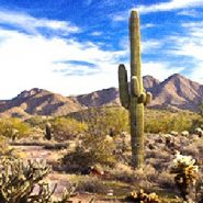 Best easy day hikes in Phoenix: 5 fun, scenic trails for beginners or advanced hikers