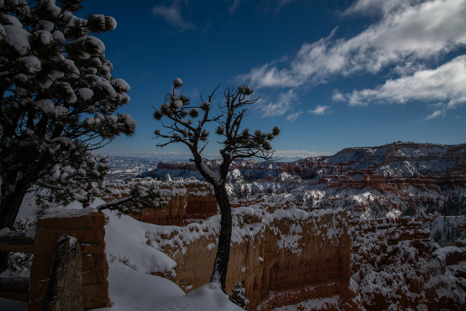 A Dream Come True at Bryce Canyon National Park – A Photo Essay