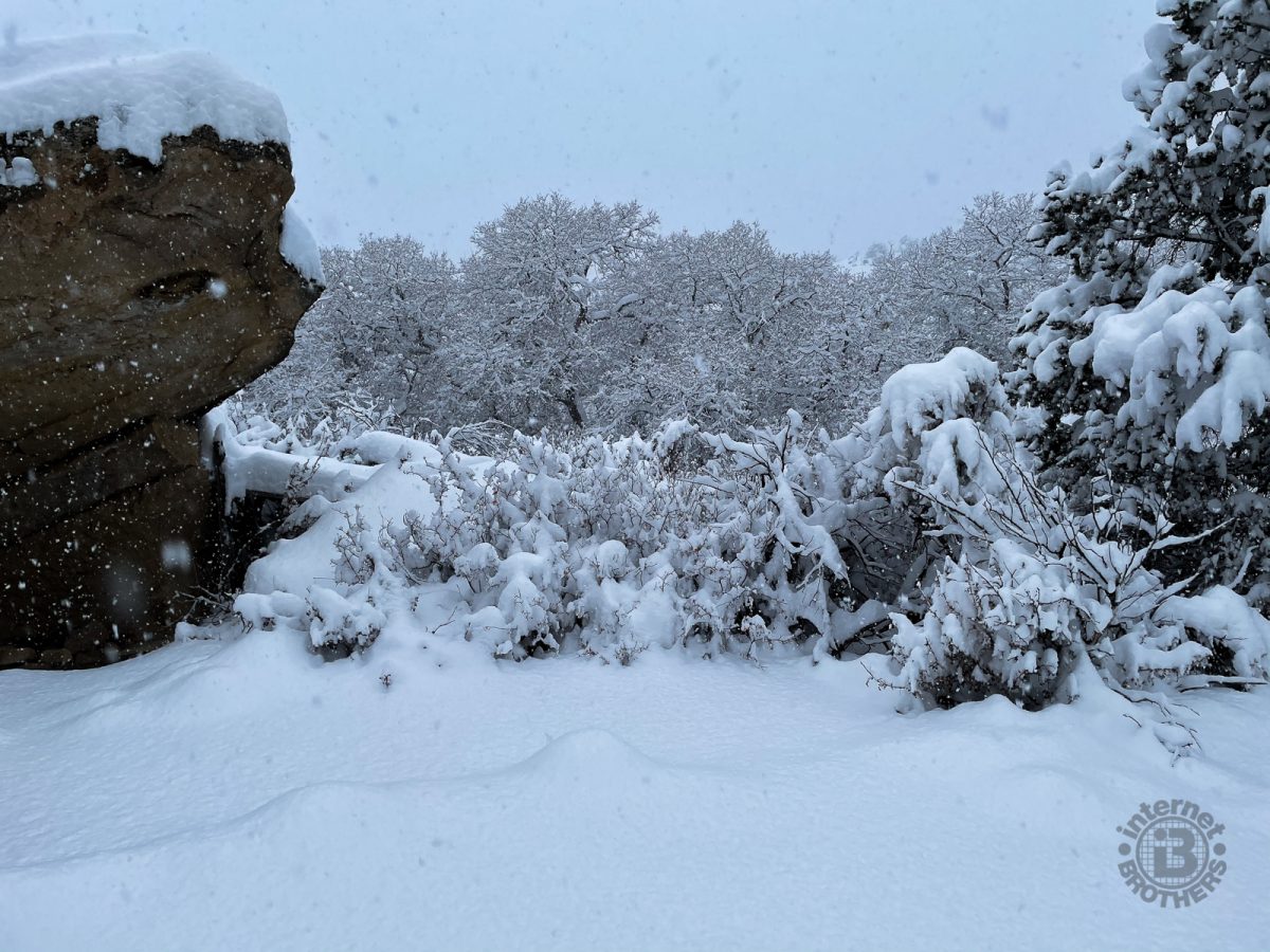 Snow country essays 05 picture