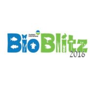 Over 250 BioBlitzes are taking place around the country in 2016
