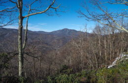 December Walking on the Blue Ridge Parkway – A Photo Essay