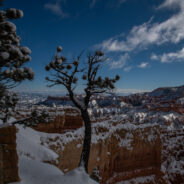 A Dream Come True at Bryce Canyon National Park – A Photo Essay