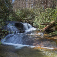 Cat Gap Trail to Cedar Rock Falls and Long Branch, Pisgah National Forest