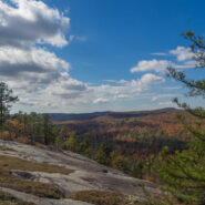 Corn Mill Shoals Trail, Little River Trail, Cedar Rock Trail, Big Rock Trail, DuPont State Forest, NC