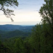 Brush Creek and Burnett Gap Trails, Cherokee National Forest