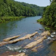 Auger Hole Trail, Foothills Trail, and Canebrake Trail, Gorges State Park