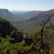 Jonas Ridge and Shortoff Trails, Linville Gorge Wilderness