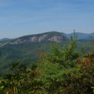 Coontree Loop to Bennett Gap, Pisgah National Forest