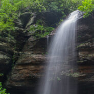 Moore Cove Trail and Falls, Pisgah National Forest