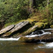 Chattooga River Trail, Nantahala National Forest