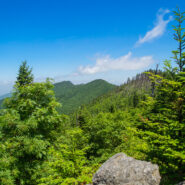 Mt. Mitchell State Park Trail System