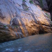 The Narrows in Zion Canyon, Zion National Park